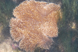 DSC_9338.jpg