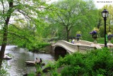 Spring in Central Park