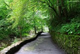 Cedar Creek