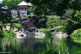 Turtle Pond in Central Park