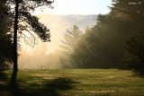 Morning Shadows