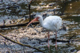 Pine Knoll Shores NC-5091.jpg