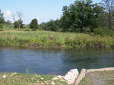 Spring Creek 2803.jpg