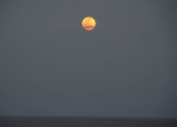 Perigee Milk Supermoon 3334.jpg