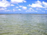 Vast Marls of Abacos West 3134.jpg