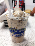 The Dirty Turtle Frozen Custard at The Meadows....Amazing!!! 1832.jpg