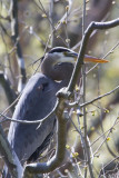 IMG_1540 conv.jpg