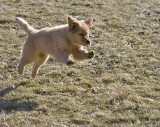 LK4S9333 copy.jpg