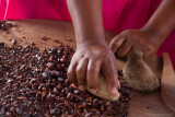 Traditional Cocoa Production: Removing the hard shells