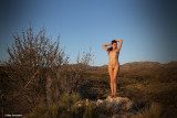 JZ7A0557 (Desert Mountain Song)