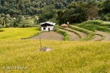 Farm