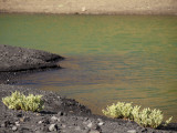 The green lagoon