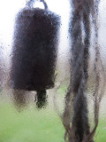 Bell and Rope in Rain