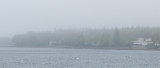 Foggy Bay with Cormorant in Boat