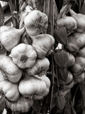 Strung Garlic