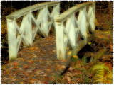 Little Bridge in Birdsacre #2