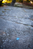 Trail Marker on Blue Hill Mountain Path