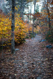 Blue Hill Mountain Trail #1