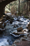 Under the Troll Bridge