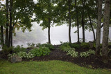 Trees and Lawn Planting by Union River #1