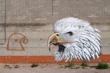 Two Eagles in an Alley