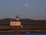 Coquille Moon Light