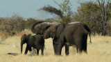 Namibia_3288.jpg