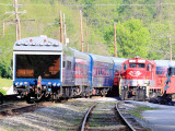 A RJC work tranin is tied up in the West Frankfort siding as the CSX Derby train passes 