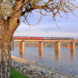 The sun has just lit up the bridge as the Blue Ribbon Special departs Chattanooga Northbound up the CNO&TP