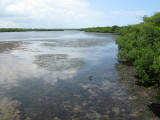 John D. MacArthur Beach State Park