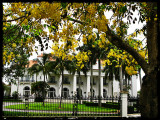  Flagler Museum