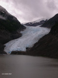 Bear Glacier