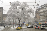 Place des Eaux-Vives