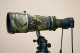 Nikon V1 with Nikon 300mm f/2.8 VR II + TC20-E III (via FT-1 adapter)  #1