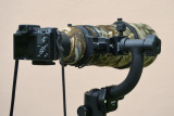 Nikon V1 with Nikon 300mm f/2.8 VR II + TC20-E III (via FT-1 adapter) #3