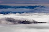 <b>6th Place</b><br><i>Above the Fog*</i><br>by CindyD (Sis-Q)