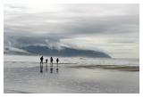 <b>8th Place (tie)</b><br><i>Wind Walking (*)</i><br>by Ed Hahn