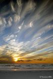 <b>9th Place (tie)</b><br><i>Stroke Of Nature</i><br>by Markjay