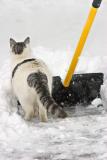 You Want ME to Dig a Hole WHERE???*