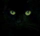 Eyes