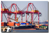 Dock Machines