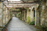 Vine tunnel.jpg