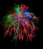 sky anemone - d.tallakson