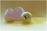 3rd Place<br>Nine Egg<br>by Lydia too