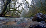 7th Place<br>River View<br>by Jim Thode (aka Bizzuth)