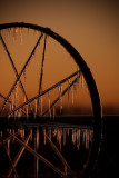 8th Place<br>Sunrise on the farm<br>by<br>Barry Shaffer