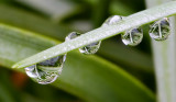 After the Rain