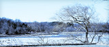Nessequogue River