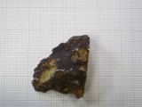 100_0718_Copy.jpg