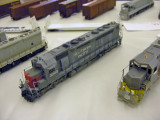 Elizabeth Allen model